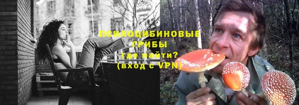 spice Балабаново